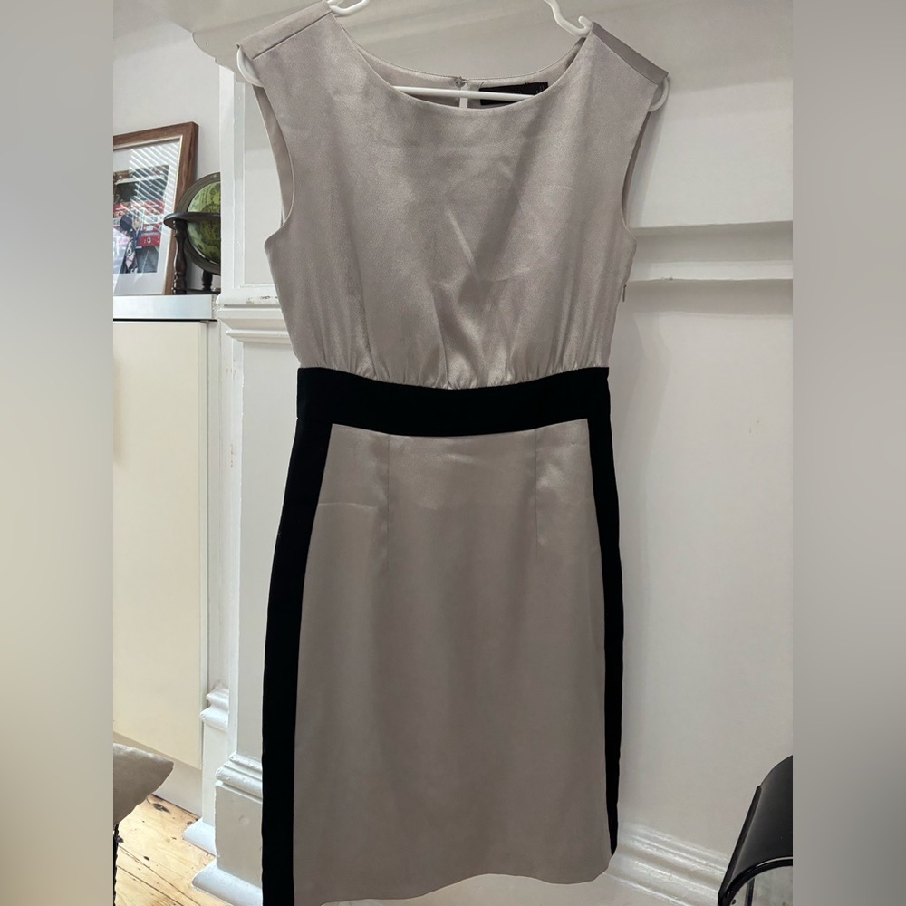 The Limited Silver and black Sheath Dress Sleeveless Crew Neck
